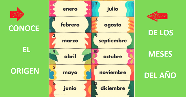 meses del año